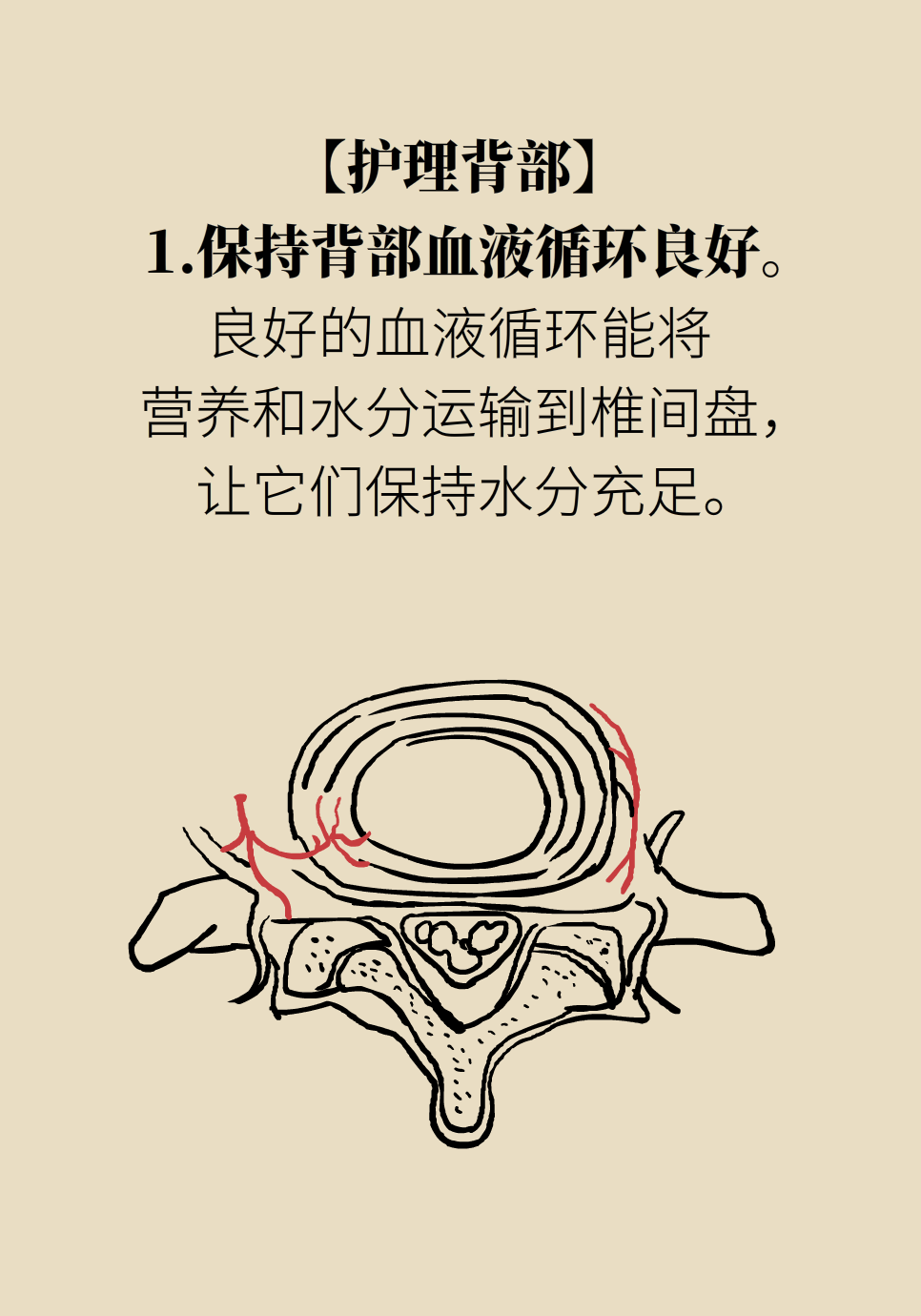 背部僵硬疼痛？你的椎间盘该“补水”了964 / 作者:UFO爱好者 / 帖子ID:71862