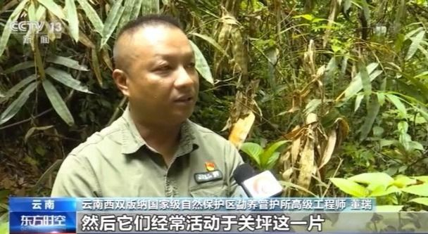 北上野象走出“S”路线 下一站去哪儿？569 / 作者:UFO爱好者 / 帖子ID:71361