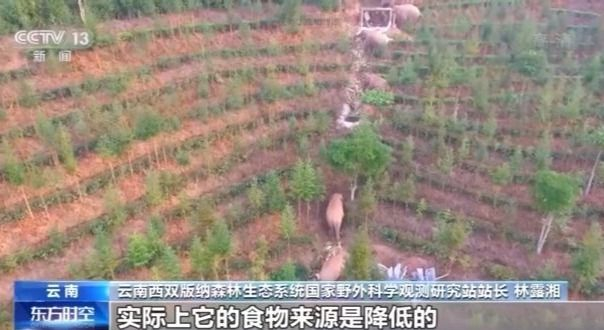 北上野象走出“S”路线 下一站去哪儿？146 / 作者:UFO爱好者 / 帖子ID:71361
