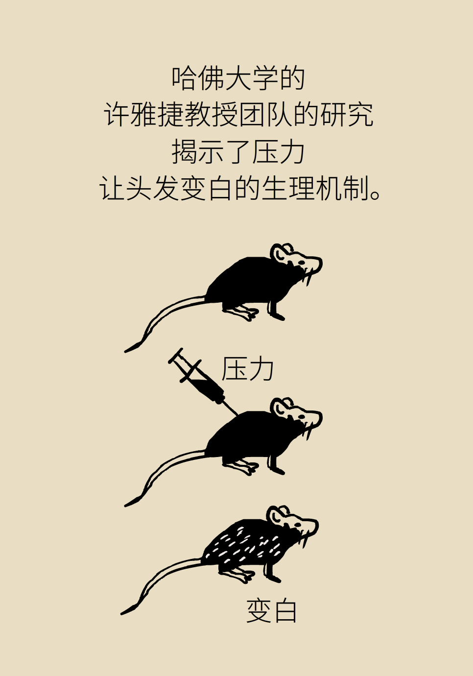 不想长白头发怎么办？最全养发护发攻略在此774 / 作者:UFO爱好者 / 帖子ID:71853
