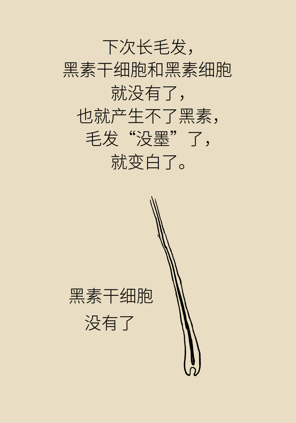不想长白头发怎么办？最全养发护发攻略在此231 / 作者:UFO爱好者 / 帖子ID:71853