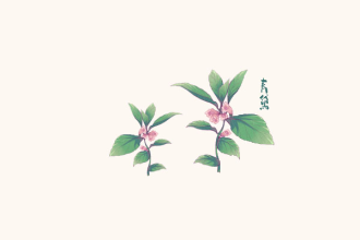 “青黛画眉红锦靴”中的青黛是什么？130 / 作者:UFO爱好者 / 帖子ID:71351