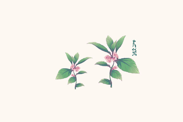“青黛画眉红锦靴”中的青黛是什么？509 / 作者:UFO爱好者 / 帖子ID:71351