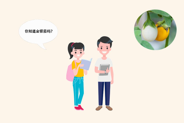 白色的茄子——金银茄998 / 作者:UFO爱好者 / 帖子ID:71350