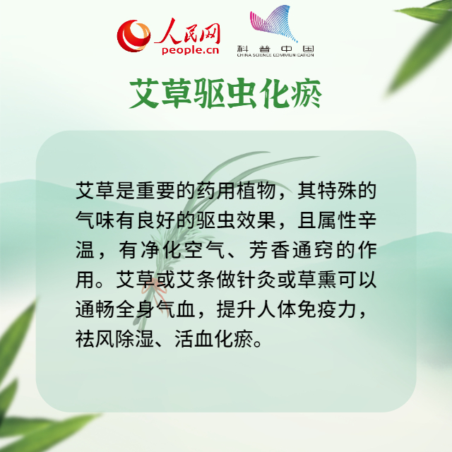 吃粽子、挂艾草、吃大蒜……端午习俗里藏着养生秘籍612 / 作者:UFO爱好者 / 帖子ID:70821