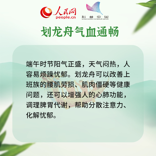 吃粽子、挂艾草、吃大蒜……端午习俗里藏着养生秘籍263 / 作者:UFO爱好者 / 帖子ID:70821