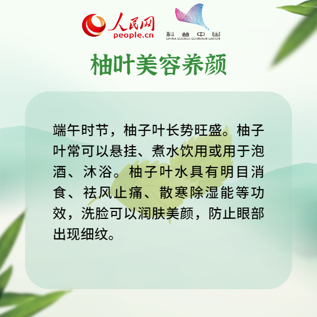 吃粽子、挂艾草、吃大蒜……端午习俗里藏着养生秘籍153 / 作者:UFO爱好者 / 帖子ID:70821