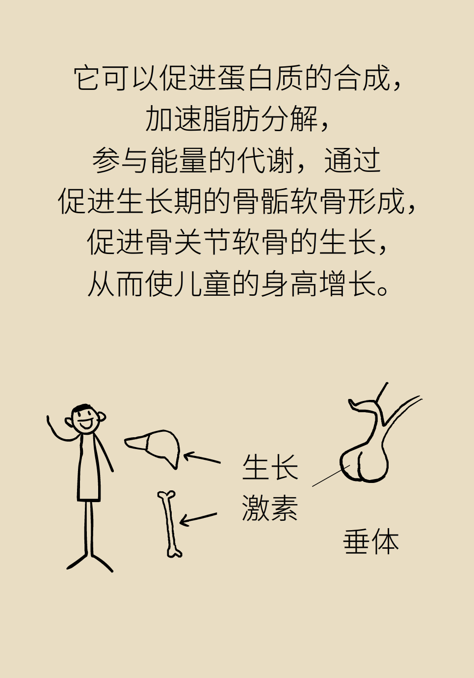 想让孩子长个子？家长别错过这个关键的时间节点634 / 作者:UFO爱好者 / 帖子ID:71498