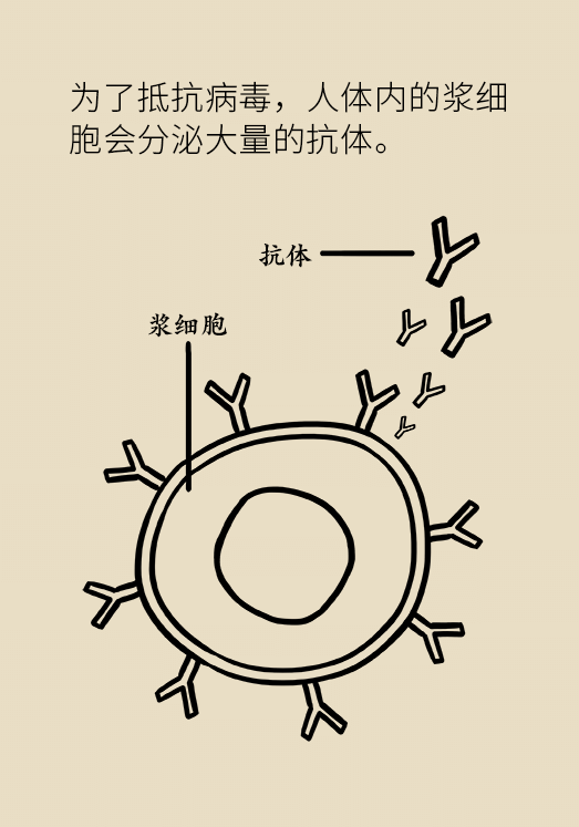 这种眼病常“叫板”中青年可致盲，警惕两症状902 / 作者:UFO爱好者 / 帖子ID:71472