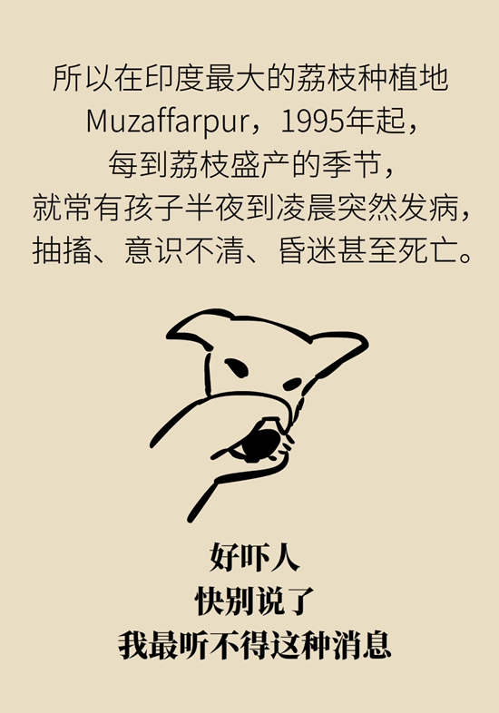 正是吃荔枝的时节，吃荔枝时必知这6个真相336 / 作者:UFO爱好者 / 帖子ID:71316