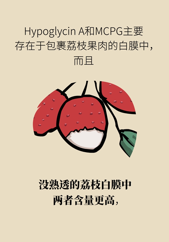正是吃荔枝的时节，吃荔枝时必知这6个真相902 / 作者:UFO爱好者 / 帖子ID:71316