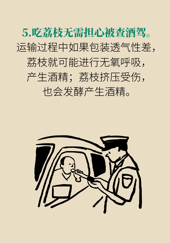 正是吃荔枝的时节，吃荔枝时必知这6个真相951 / 作者:UFO爱好者 / 帖子ID:71316
