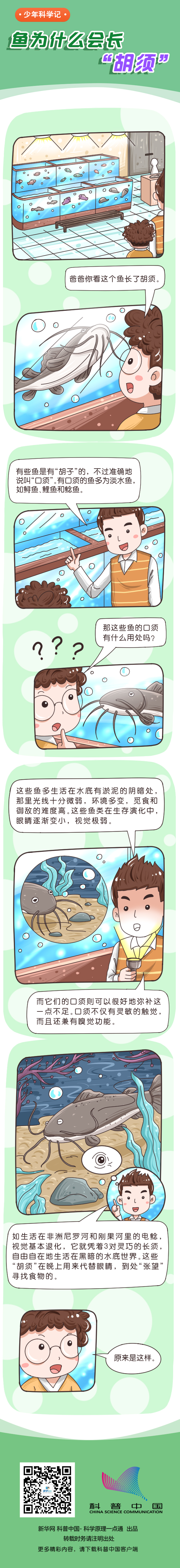 鱼为什么会长“胡须”？545 / 作者:UFO爱好者 / 帖子ID:70612