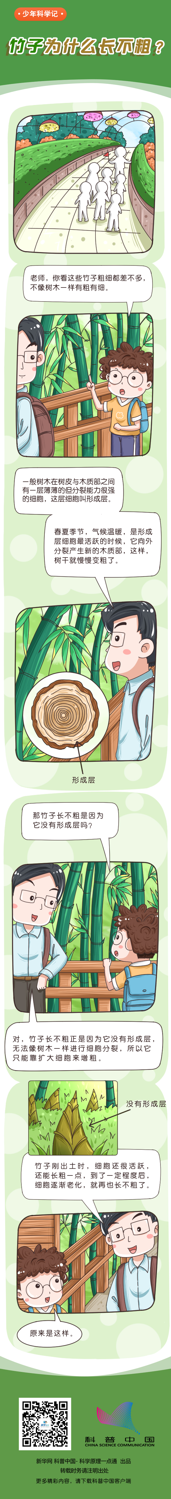 竹子为什么长不粗？55 / 作者:UFO爱好者 / 帖子ID:70611