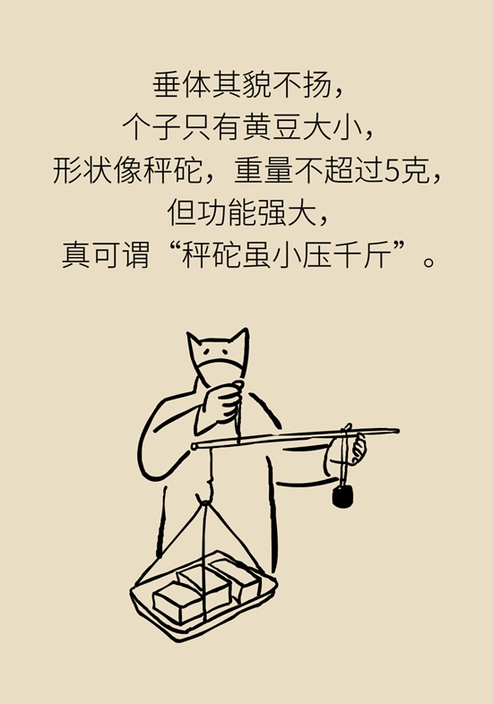 变丑、变胖、内分泌失调……这些糟心事警惕脑肿瘤514 / 作者:UFO爱好者 / 帖子ID:70967
