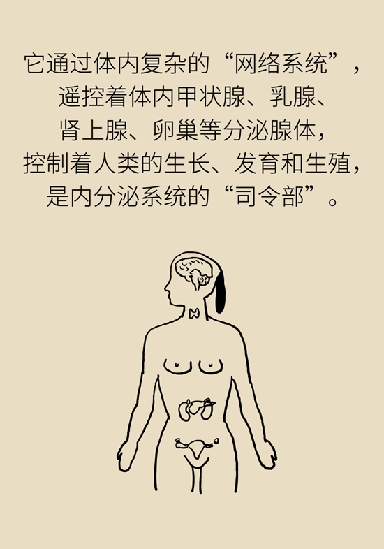 变丑、变胖、内分泌失调……这些糟心事警惕脑肿瘤758 / 作者:UFO爱好者 / 帖子ID:70967