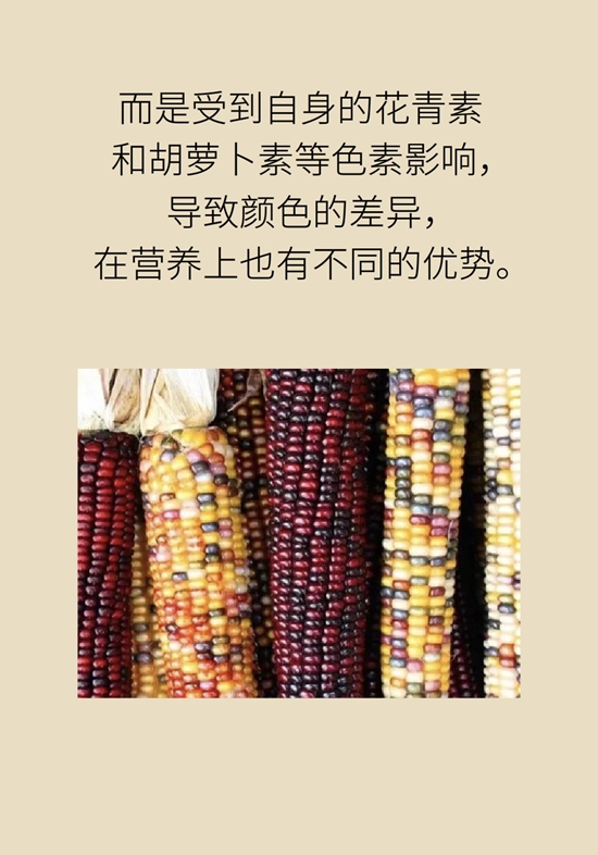 吃玉米能减肥？还对血糖有好处？医生告诉你真相798 / 作者:UFO爱好者 / 帖子ID:70963