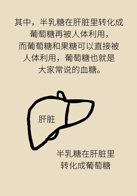 抗糖化能防衰老是真的！做好这6点就行345 / 作者:UFO爱好者 / 帖子ID:70962