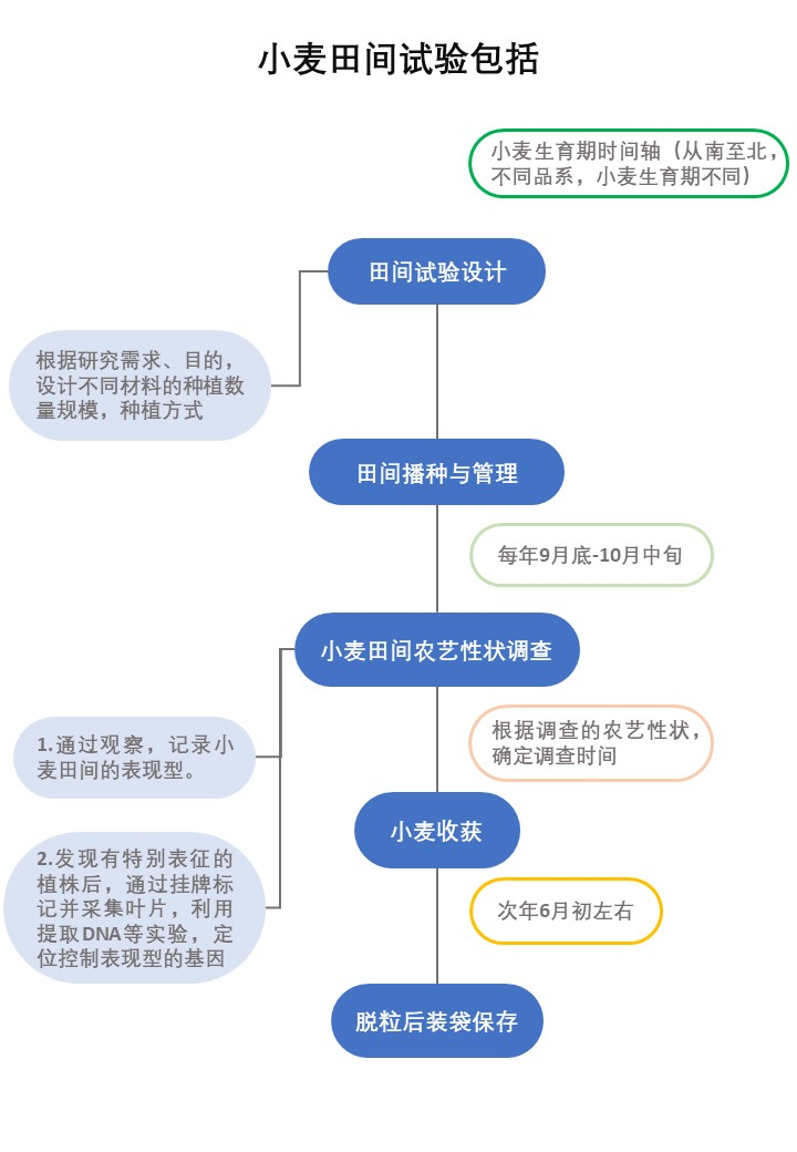 你在种小麦吗？不，我在进行一场修行373 / 作者:UFO爱好者 / 帖子ID:69717