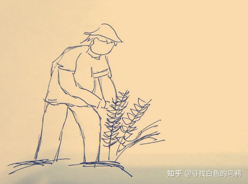 你在种小麦吗？不，我在进行一场修行714 / 作者:UFO爱好者 / 帖子ID:69717