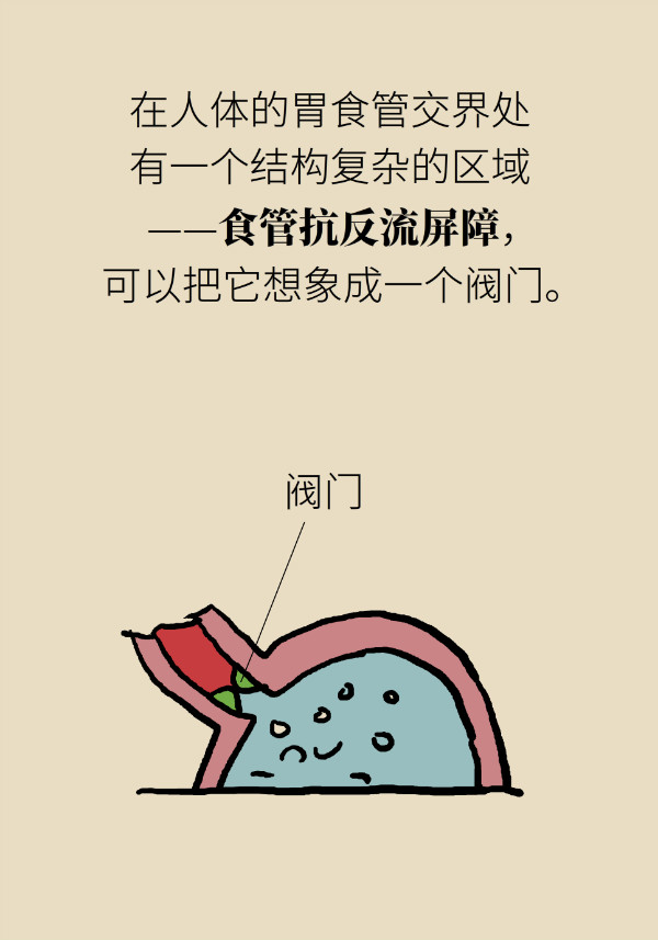 喝稀饭能养胃？警惕胃酸反流胃更烧248 / 作者:UFO爱好者 / 帖子ID:70130