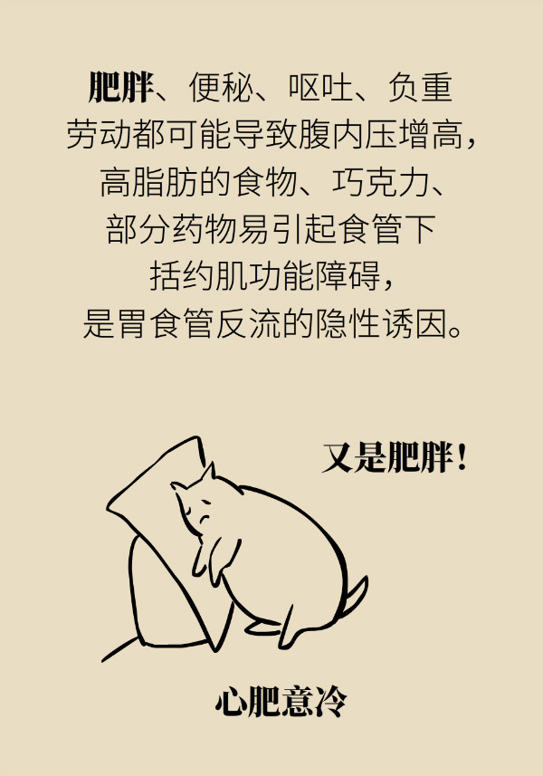 喝稀饭能养胃？警惕胃酸反流胃更烧673 / 作者:UFO爱好者 / 帖子ID:70130