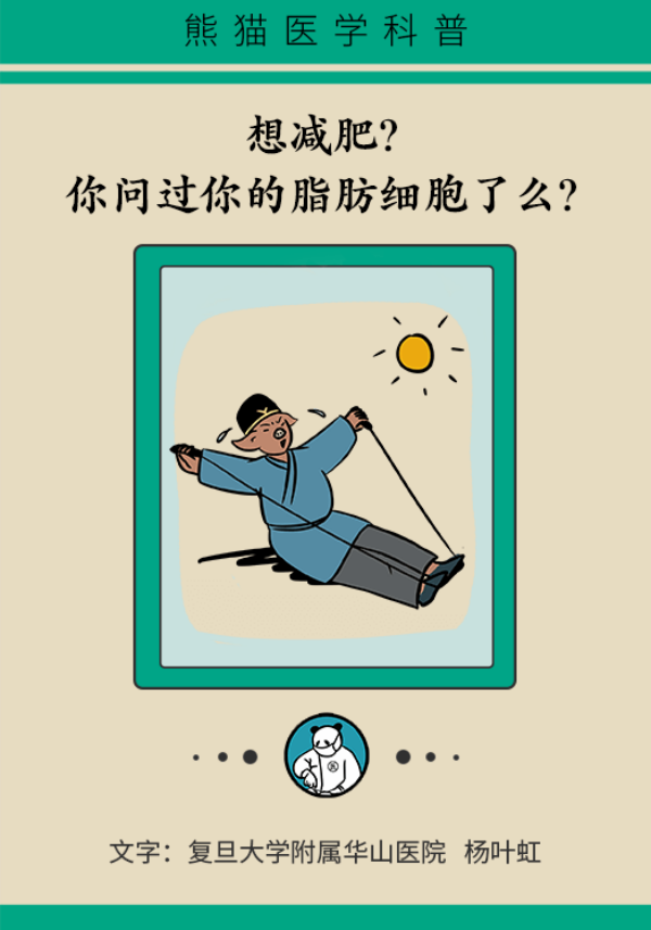 夏季想要快速瘦身，不做好这两点任何减肥方法都没用！660 / 作者:UFO爱好者 / 帖子ID:70126