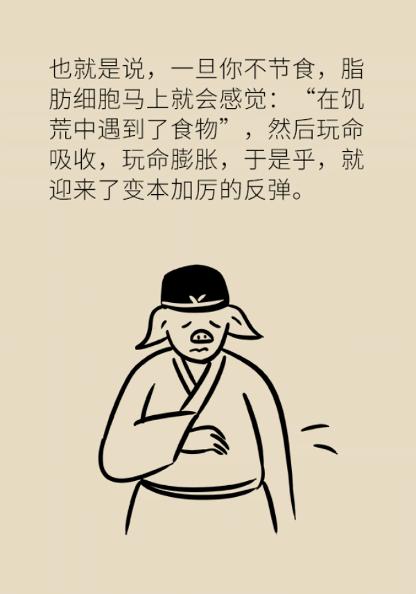 夏季想要快速瘦身，不做好这两点任何减肥方法都没用！97 / 作者:UFO爱好者 / 帖子ID:70126