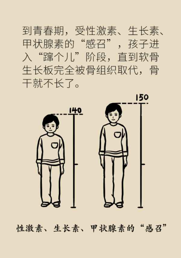 想要孩子长高个，专家给你来支招！290 / 作者:UFO爱好者 / 帖子ID:69908