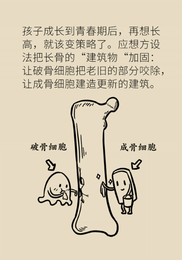 想要孩子长高个，专家给你来支招！866 / 作者:UFO爱好者 / 帖子ID:69908