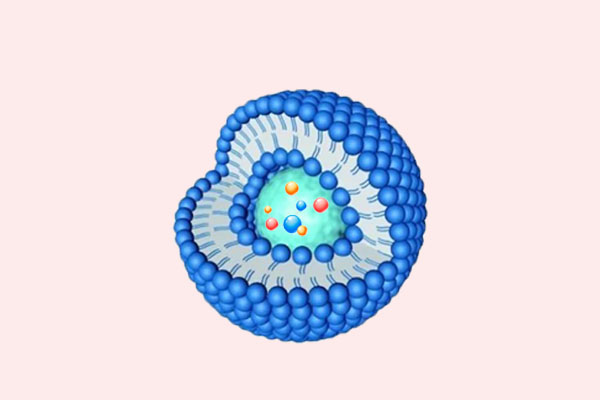 你知道脂质体吗？158 / 作者:UFO爱好者 / 帖子ID:69247