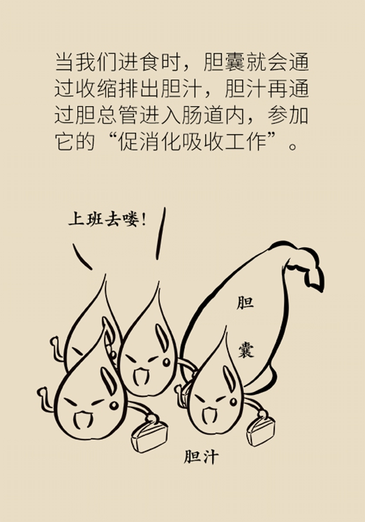 长期不吃早餐可能被这种病盯上，送你饮食秘笈940 / 作者:UFO爱好者 / 帖子ID:69447
