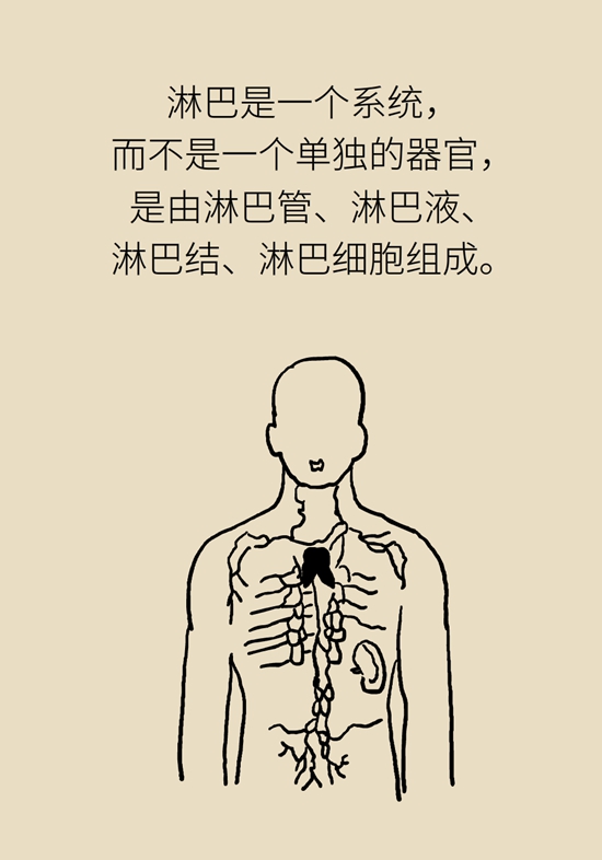 淋巴结肿大预示着哪些疾病？这样“摸”可自查323 / 作者:UFO爱好者 / 帖子ID:69211