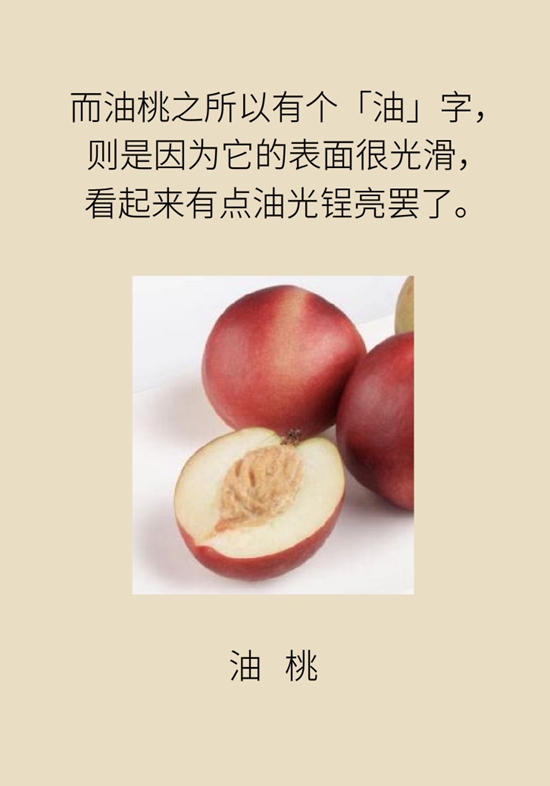 毛桃、油桃，黄桃、白桃哪个更营养？吃桃必知的9个问题976 / 作者:UFO爱好者 / 帖子ID:68740