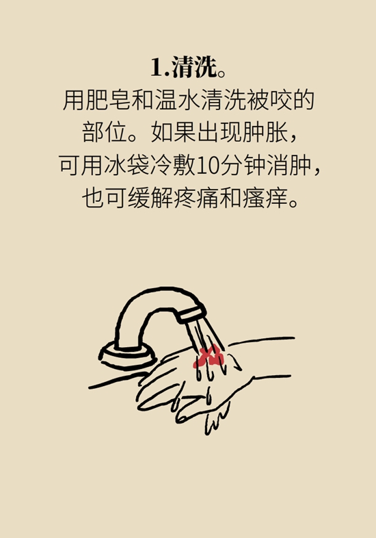 被蚊叮虫咬怎么办？医生建议做好3件事888 / 作者:UFO爱好者 / 帖子ID:68382