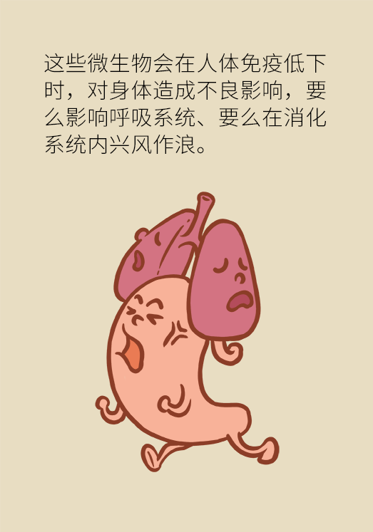 筷子毛巾用经常换吗？最好3个月换一次554 / 作者:UFO爱好者 / 帖子ID:68516