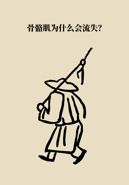 老人易摔倒是因为肌肉少？医生推荐2招“补肉肉”37 / 作者:UFO爱好者 / 帖子ID:68101
