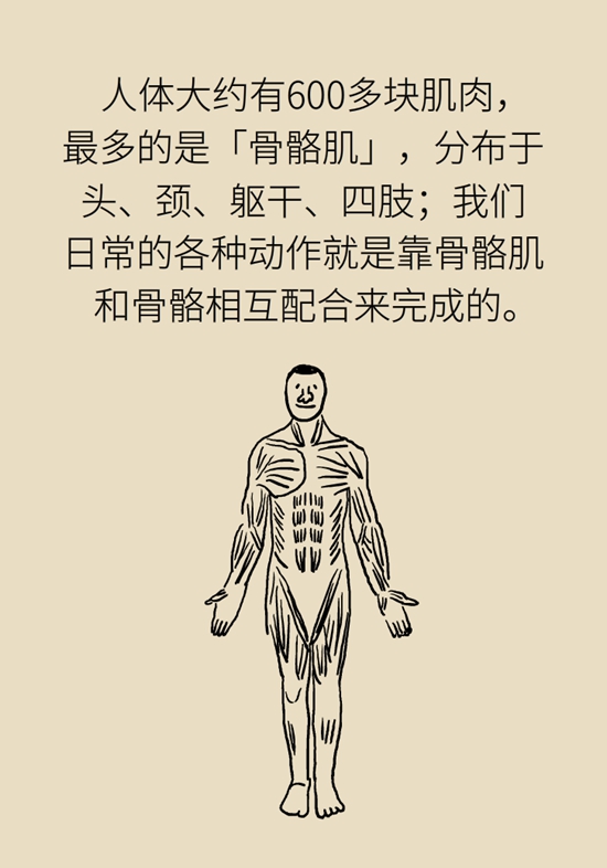 老人易摔倒是因为肌肉少？医生推荐2招“补肉肉”480 / 作者:UFO爱好者 / 帖子ID:68101