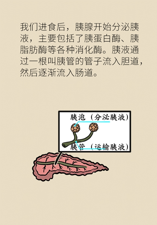 催吐减肥真那么简单吗？小心患上厌食症896 / 作者:UFO爱好者 / 帖子ID:67625