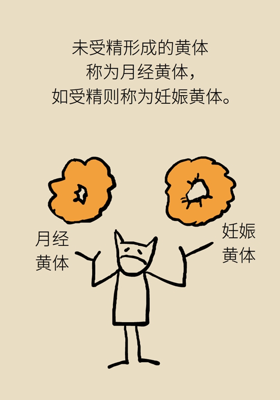 这种腹痛常被误认宫外孕，背后诱因要牢记78 / 作者:UFO爱好者 / 帖子ID:67622