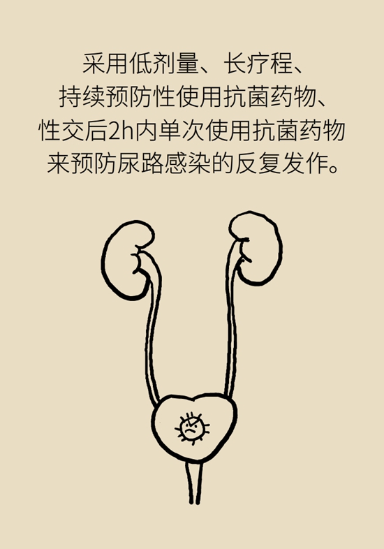 老人反复尿路感染，能长期吃抗菌药吗？817 / 作者:UFO爱好者 / 帖子ID:67620