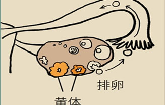 这种腹痛常被误认宫外孕，背后诱因要牢记208 / 作者:UFO爱好者 / 帖子ID:67622