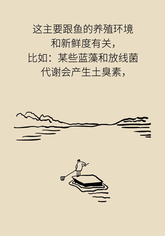 爱吃鱼又怕鱼腥味？这有4种很棒的去腥方法672 / 作者:UFO爱好者 / 帖子ID:67615