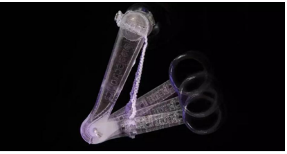 植物：我不内卷 但我的须卷438 / 作者:UFO爱好者 / 帖子ID:67407