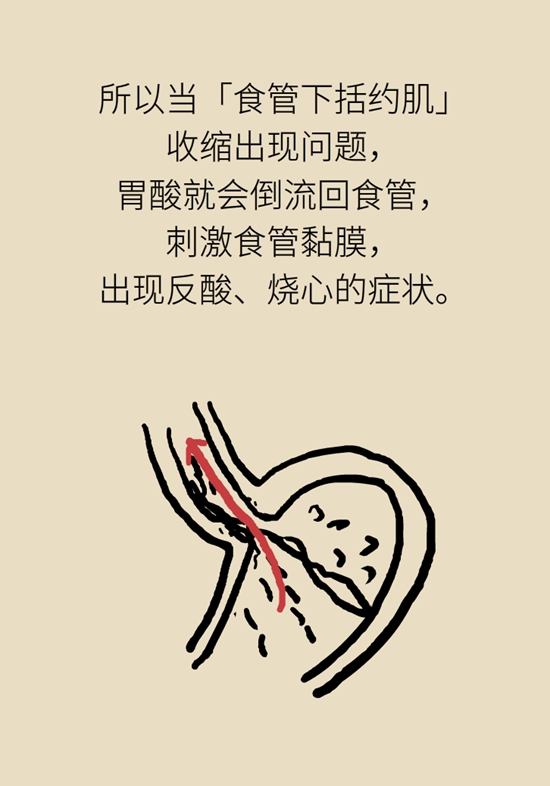 烧心烧得难受？6个方法可缓解131 / 作者:UFO爱好者 / 帖子ID:72579