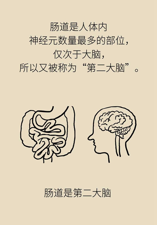 肠子能决定脑子？有趣的“肠-脑轴”了解一下588 / 作者:UFO爱好者 / 帖子ID:72755
