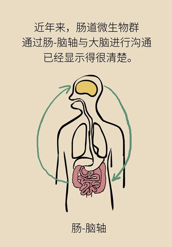 肠子能决定脑子？有趣的“肠-脑轴”了解一下818 / 作者:UFO爱好者 / 帖子ID:72755