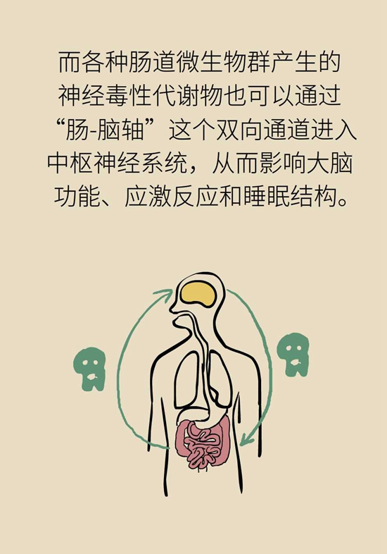 肠子能决定脑子？有趣的“肠-脑轴”了解一下877 / 作者:UFO爱好者 / 帖子ID:72755