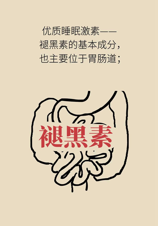 肠子能决定脑子？有趣的“肠-脑轴”了解一下304 / 作者:UFO爱好者 / 帖子ID:72755