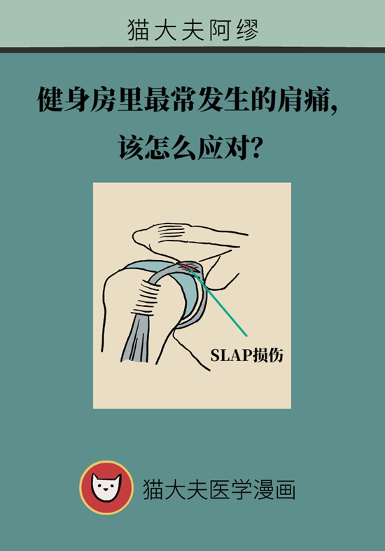 健身房里最常发生的肩痛，该怎么应对？958 / 作者:UFO爱好者 / 帖子ID:72764